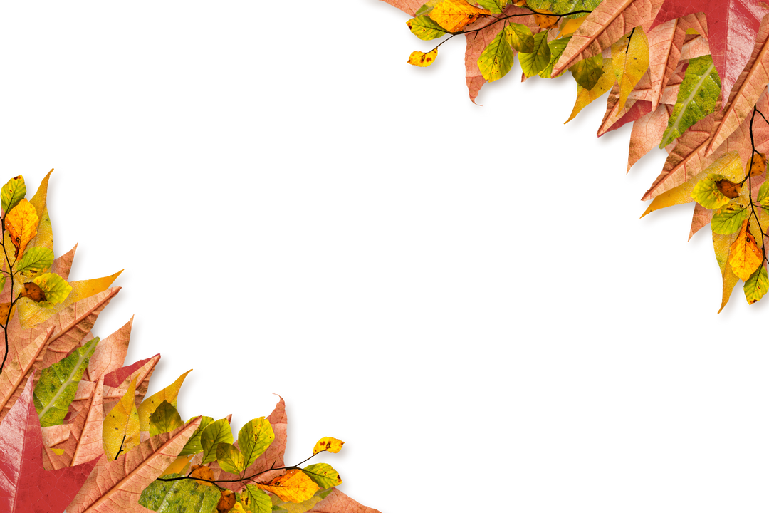 Colorful Autumn Leaves on Transparent Background with Copy Space - Download Free Stock Images Pikwizard.com