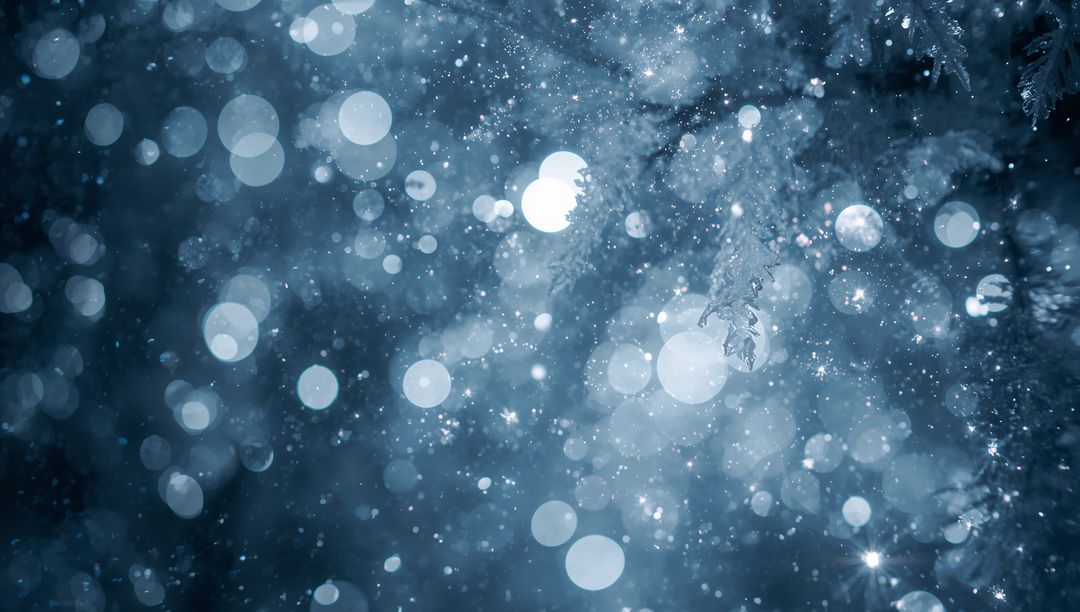 Falling Snow and Frosted Pine with Blue Bokeh Lights, Sparkling Winter Night