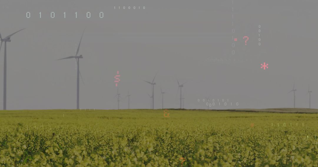 Sustainable Energy in Canola Fields with Turbines and Digital Interface