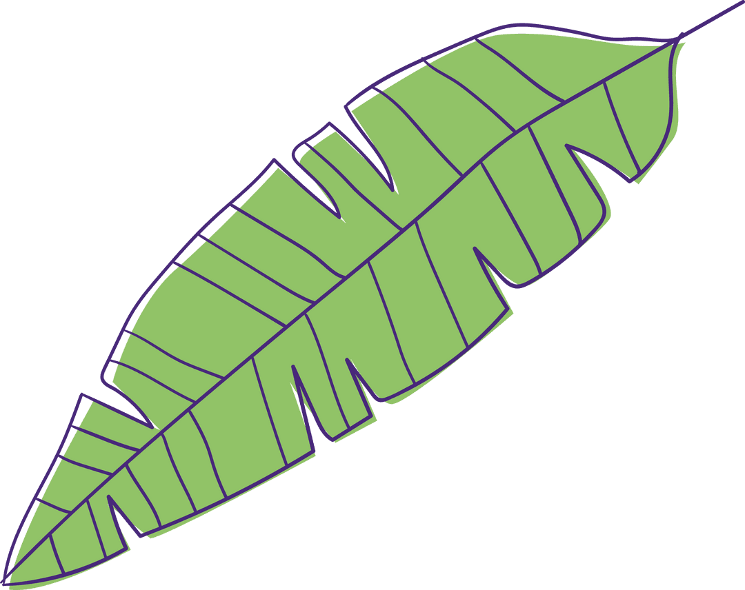 Stylized Green Banana Leaf Illustration on Transparent Background