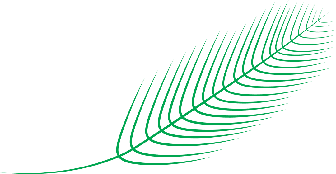Green Fern Leaf Illustration on Transparent Background
