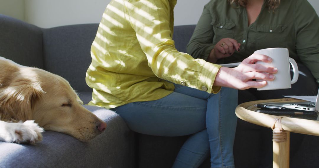 Couple Relaxing with Laptop and Dog at Home