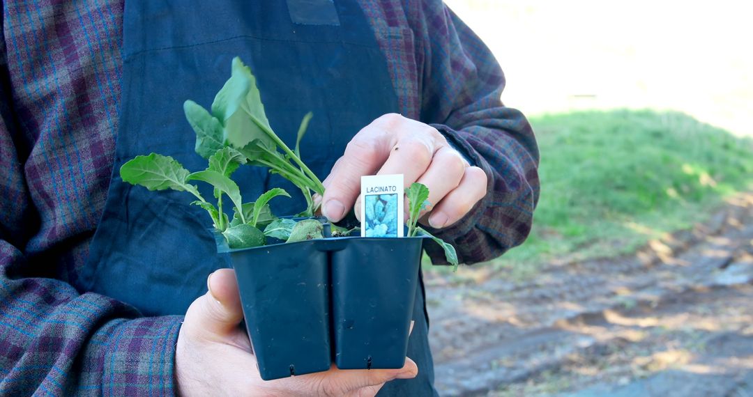 A middle-aged Caucasian man is holding a small plant in a pot, ready for planting, with copy space - Free Images, Stock Photos and Pictures on Pikwizard.com