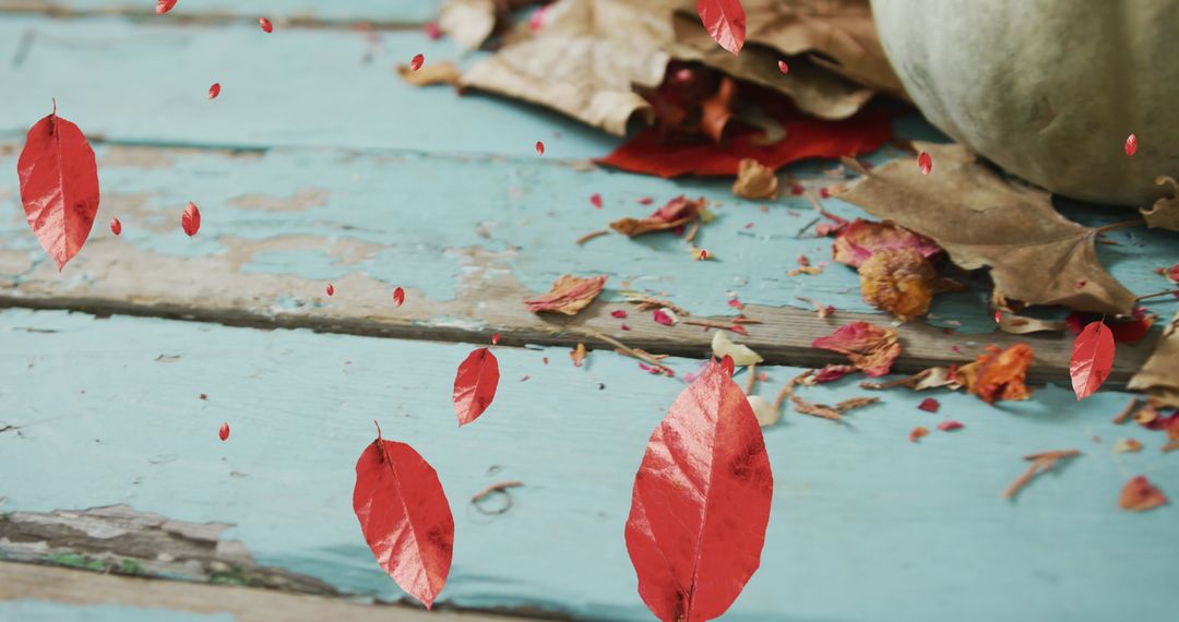 Warm Autumn Vibes with Falling Leaves over Pumpkin Display - Free Images, Stock Photos and Pictures on Pikwizard.com