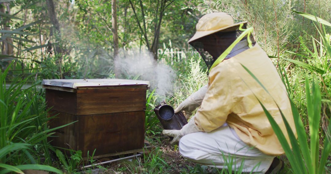 Beekeeper Managing Hive in Lush Garden - Free Images, Stock Photos and Pictures on Pikwizard.com