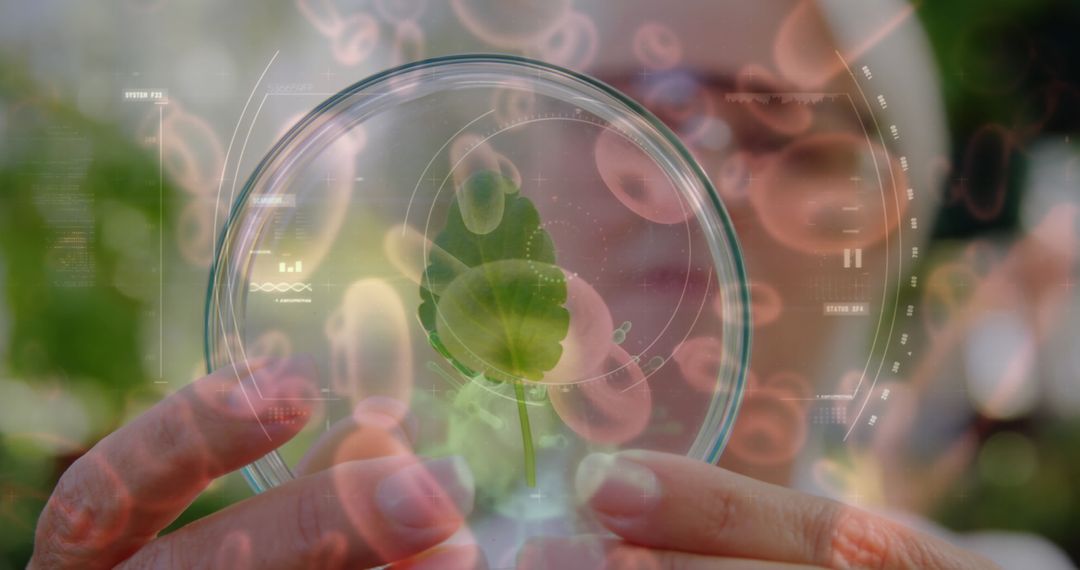 Scientist Examining Plant in Petri Dish with Biotech Visualization