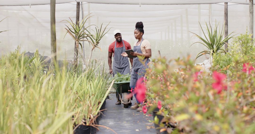 Greenhouse team using tablet while pushing wheelbarrow through potted plants nursery