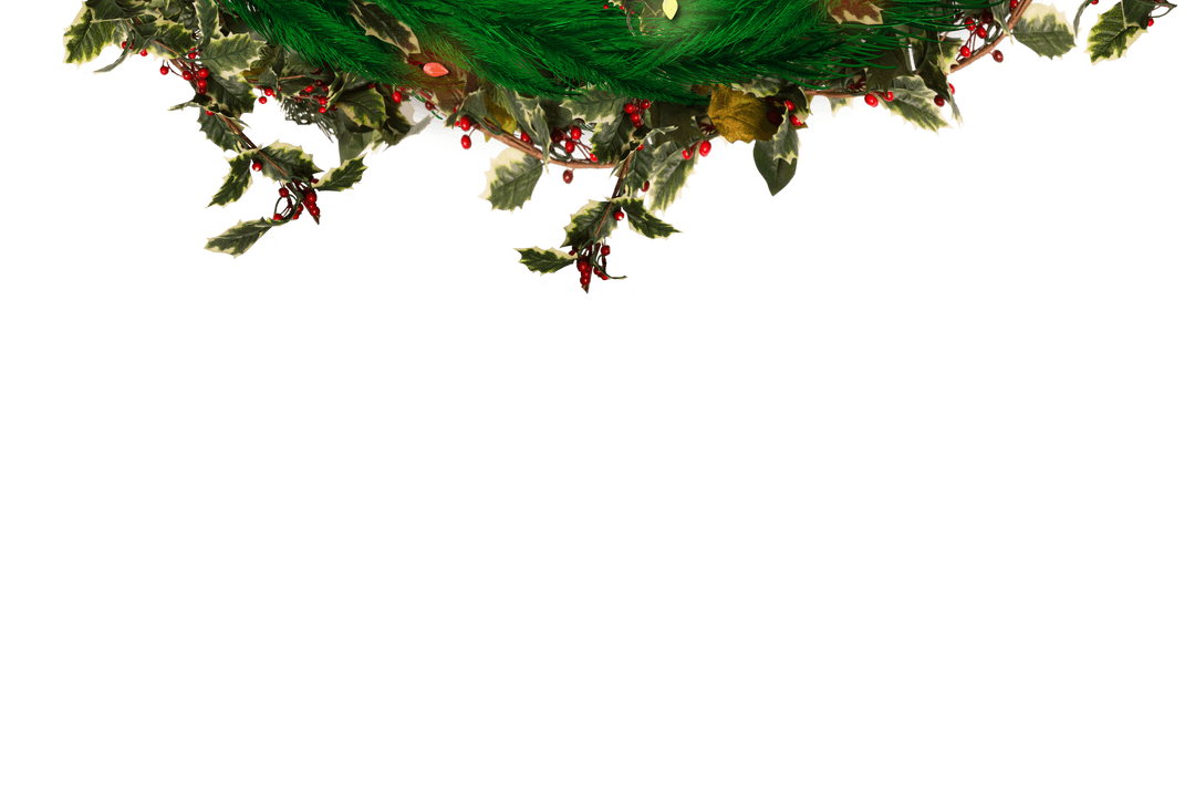 Christmas Garland with Holly on Transparent Background