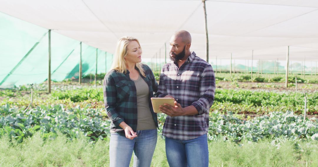 Diverse Farmers Using Tablet in Greenhouse for Agriculture Technology