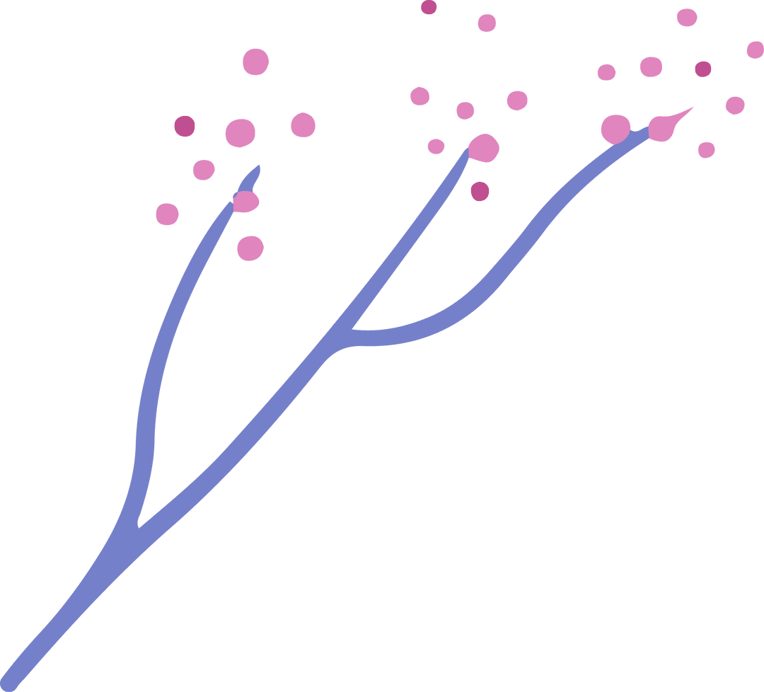 Stylized Cherry Blossom Branch with Transparent Background