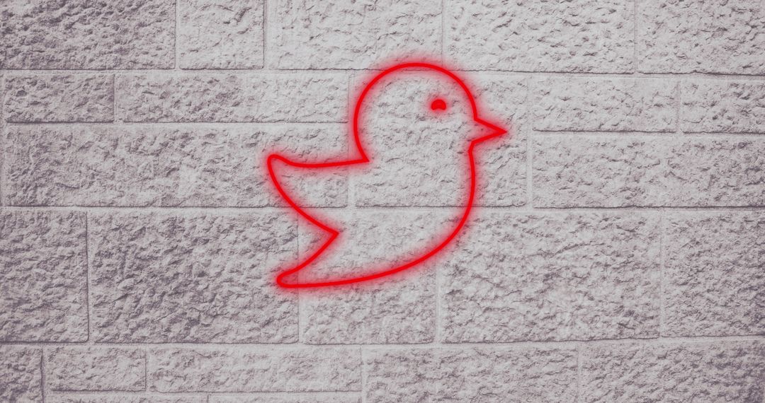 Illuminated Bird Icon Against Gray Brick Wall Representing Social Media - Free Images, Stock Photos and Pictures on Pikwizard.com