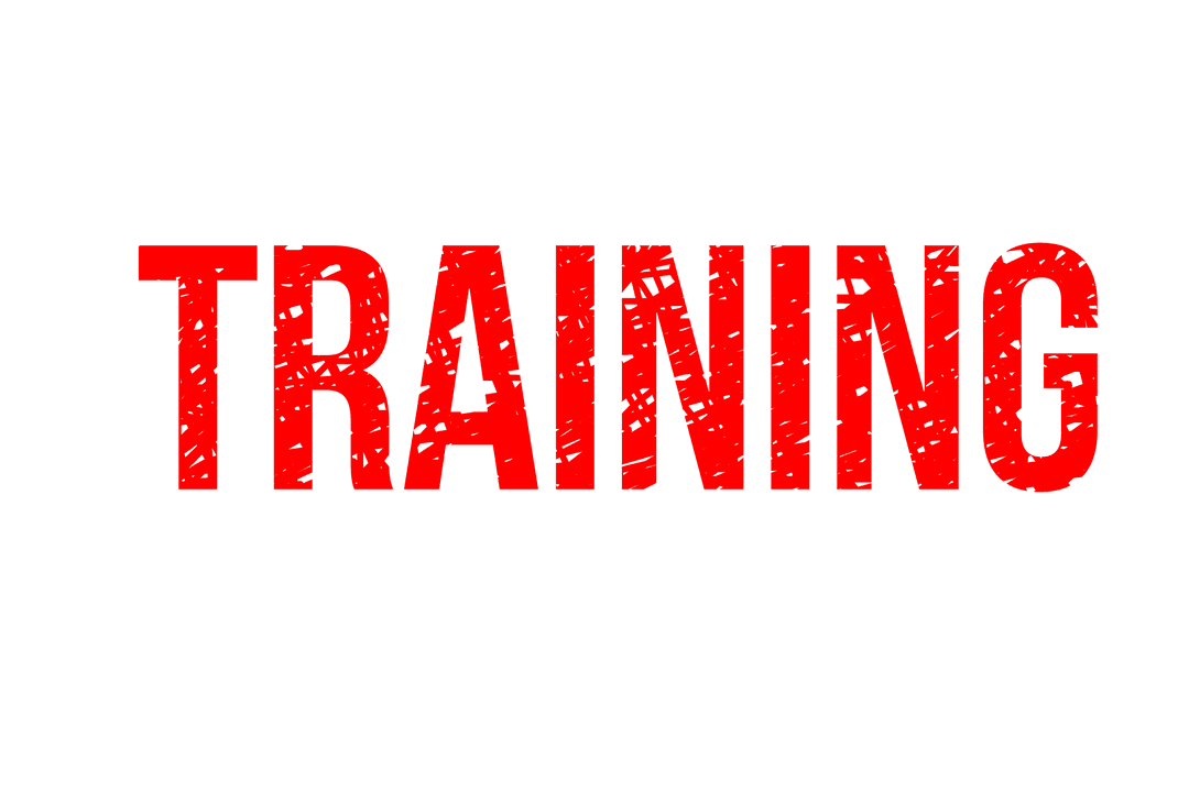 Bold Red Training Text on Transparent Background