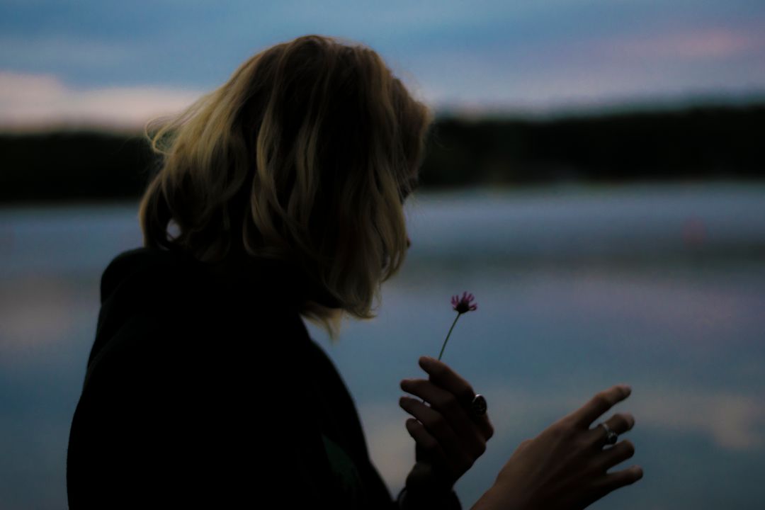 Silhouette of Person Holding Wildflower Near Serene Lake at Sunset - Free Images, Stock Photos and Pictures on Pikwizard.com
