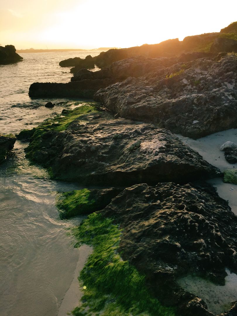 Sunset over Rocky Shoreline with Algae - Free Images, Stock Photos and Pictures on Pikwizard.com