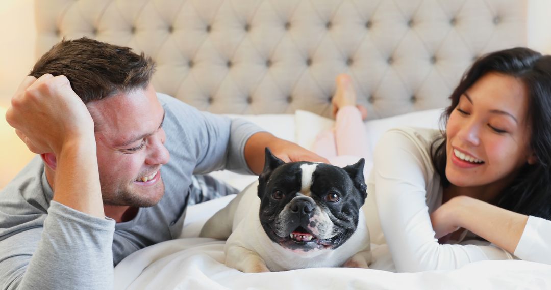 Happy Couple with French Bulldog Relaxing on Bed - Free Images, Stock Photos and Pictures on Pikwizard.com