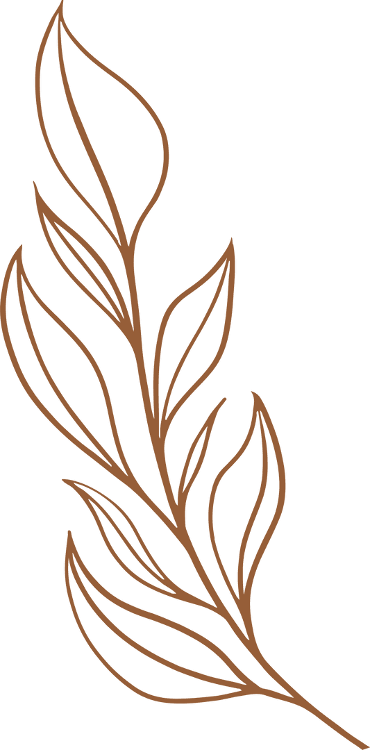 Elegant Brown Botanical Branch Line Art on Transparent