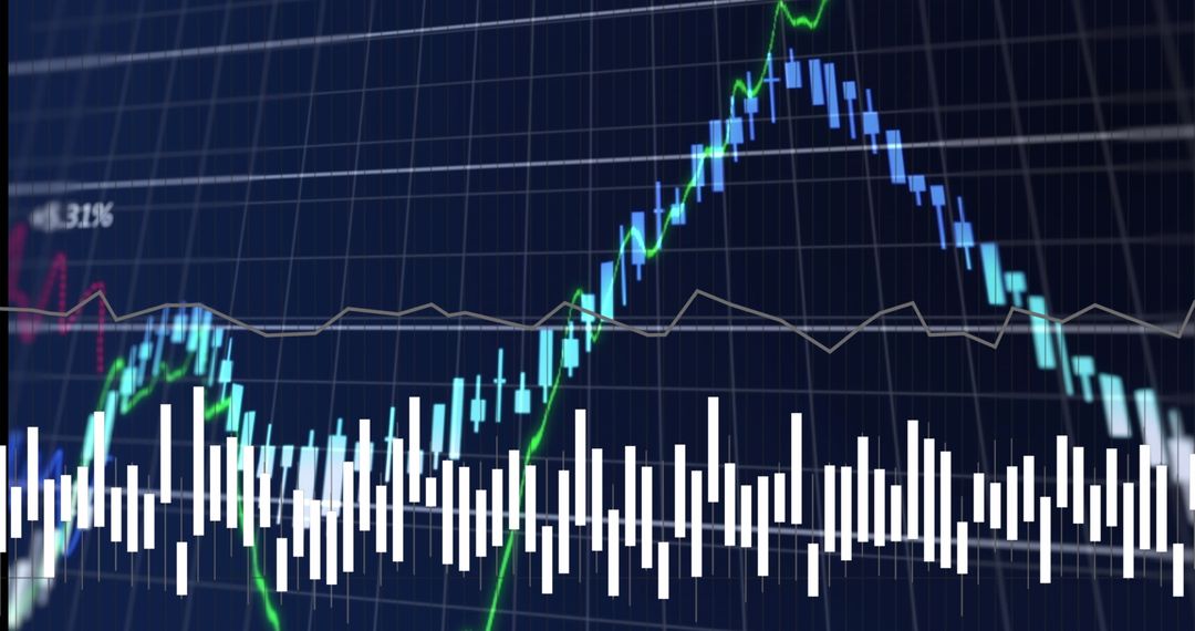 Dynamic Data Visualization and Financial Growth Curves