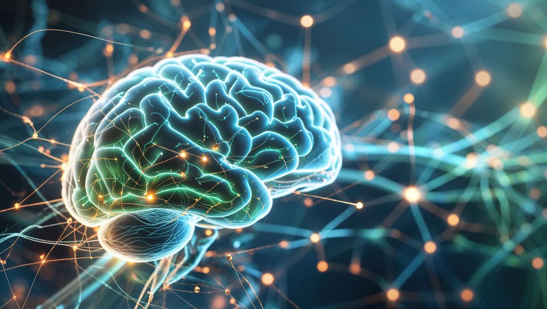 3D Brain Model with Neural Network Glowing Connections