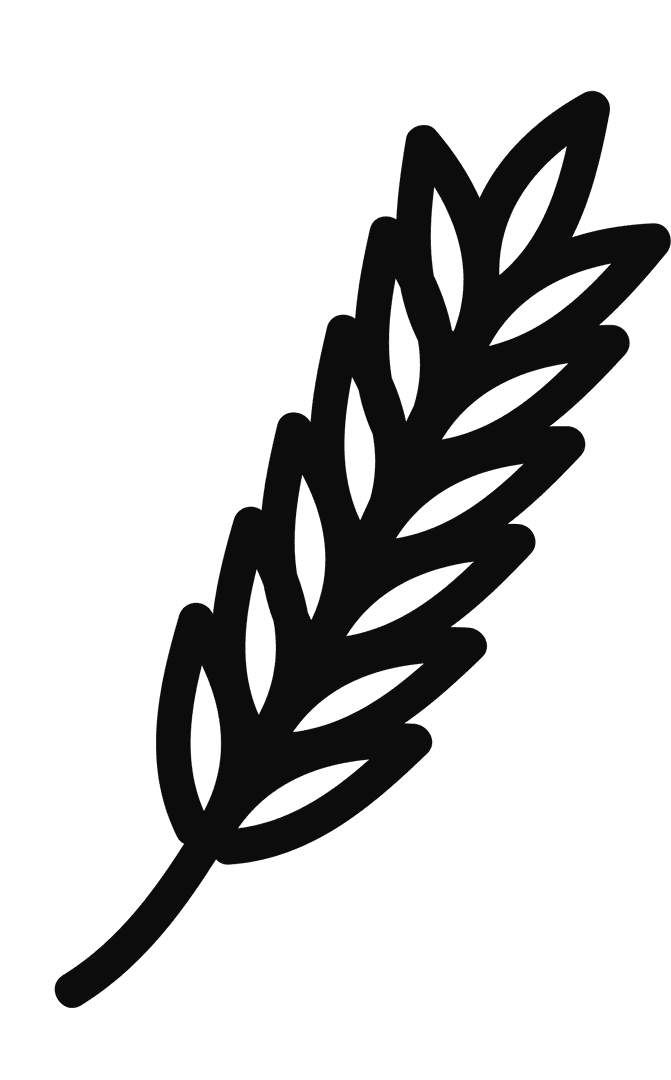 Cereal Wheat Symbol Vector on Transparent Background