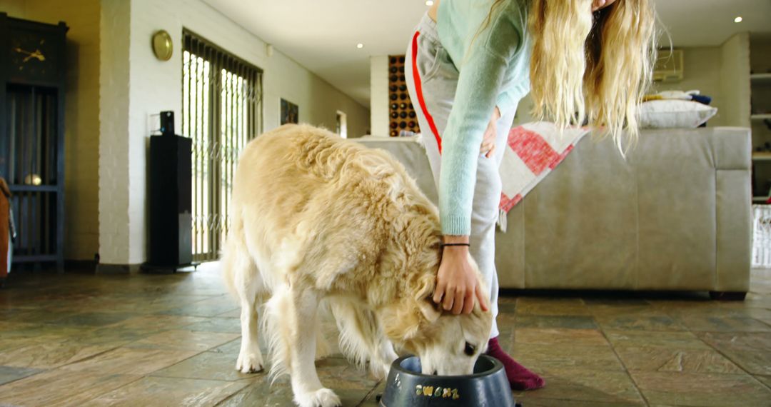 Woman Feeding Her Golden Retriever Dog Indoors - Free Images, Stock Photos and Pictures on Pikwizard.com