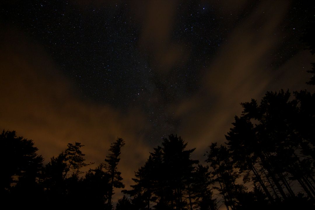 Mysterious Night Sky with Stars and Silhouetted Forest - Free Images, Stock Photos and Pictures on Pikwizard.com
