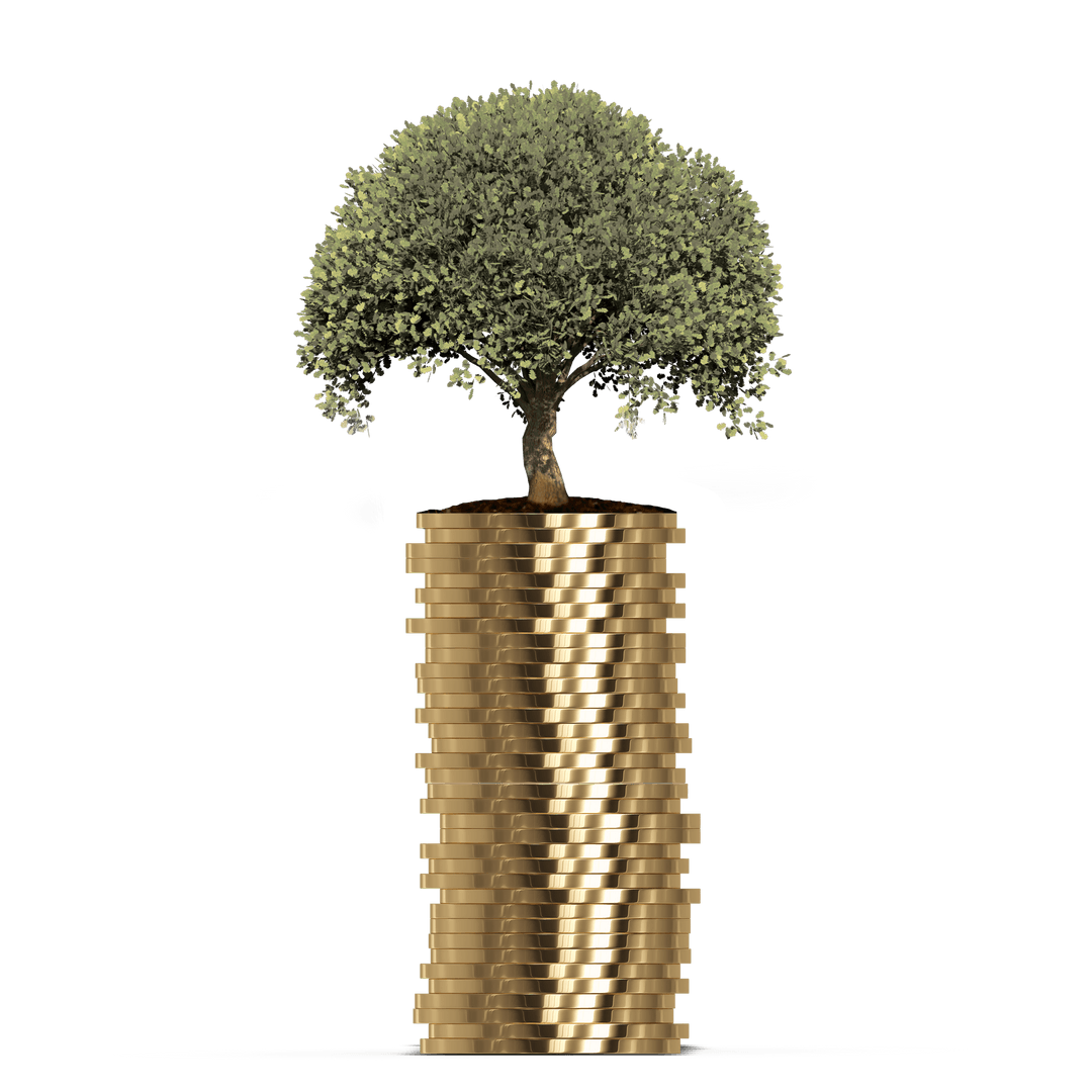 Tree Growing on Stack of Golden Coins, Transparent Finance Illustration