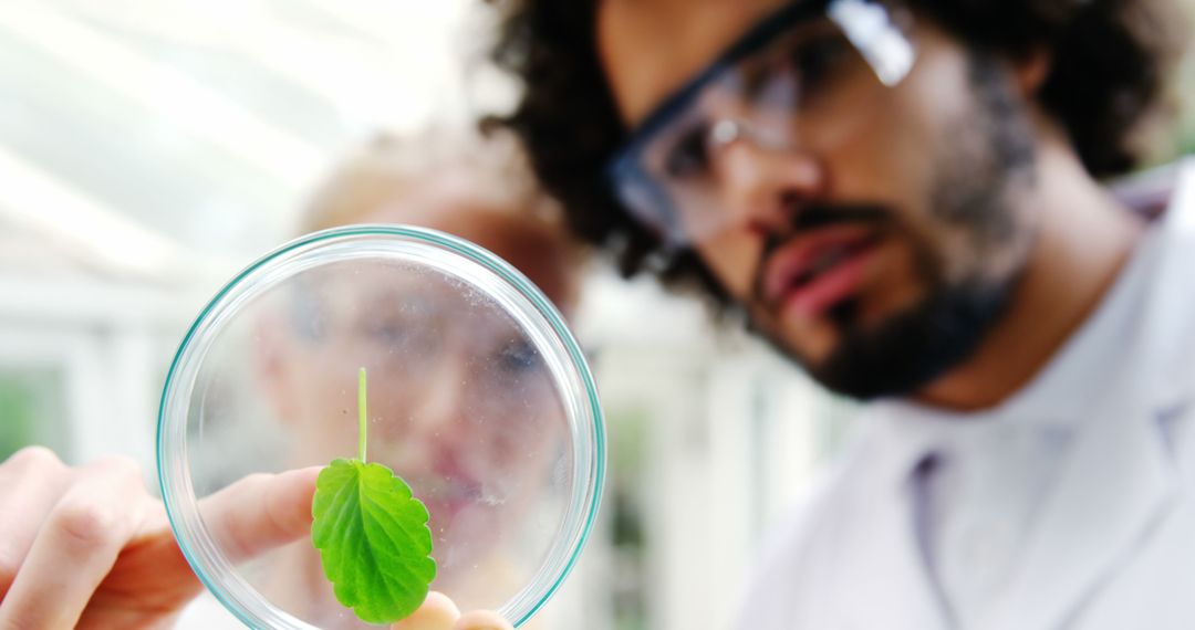 Scientists Examining Green Leaf in Modern Laboratory - Free Images, Stock Photos and Pictures on Pikwizard.com