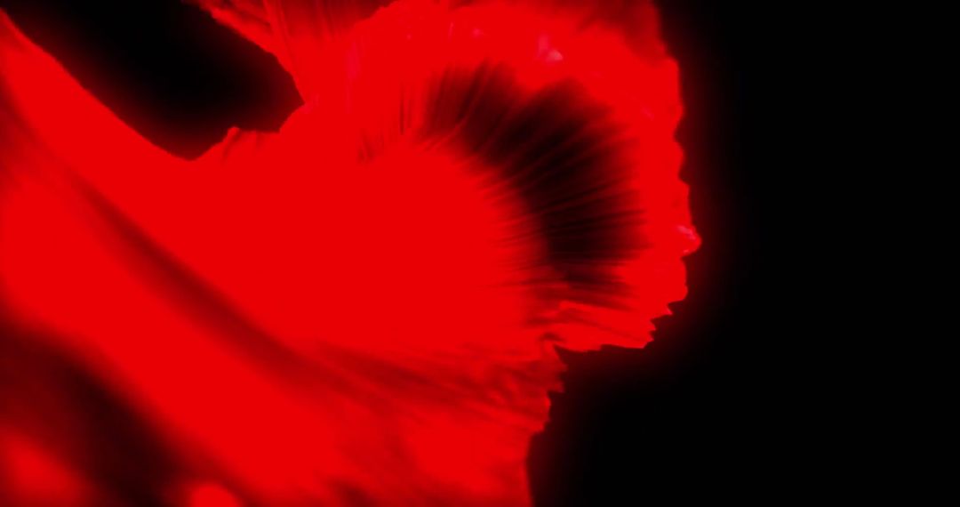 Abstract Red Glow Waves in Dynamic Flow on Black Background