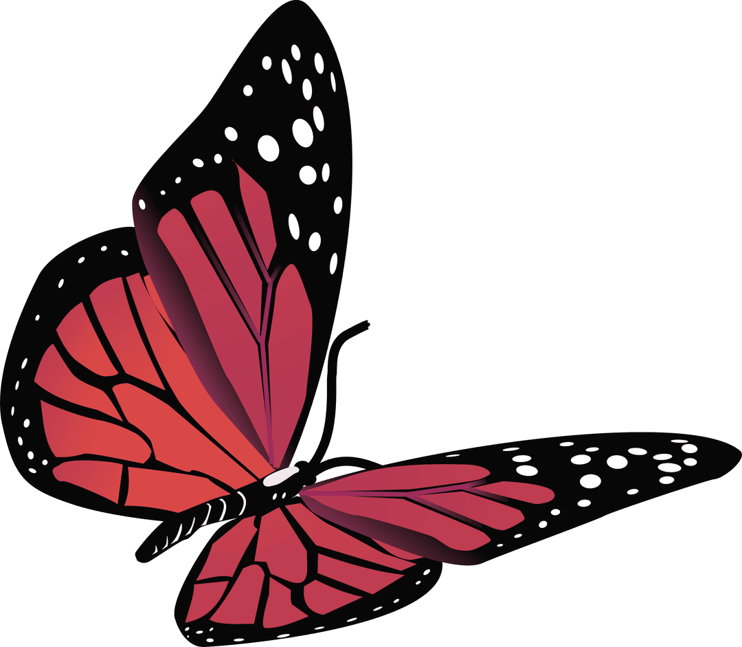 Red and Black Butterfly with White Spots on Transparent Background