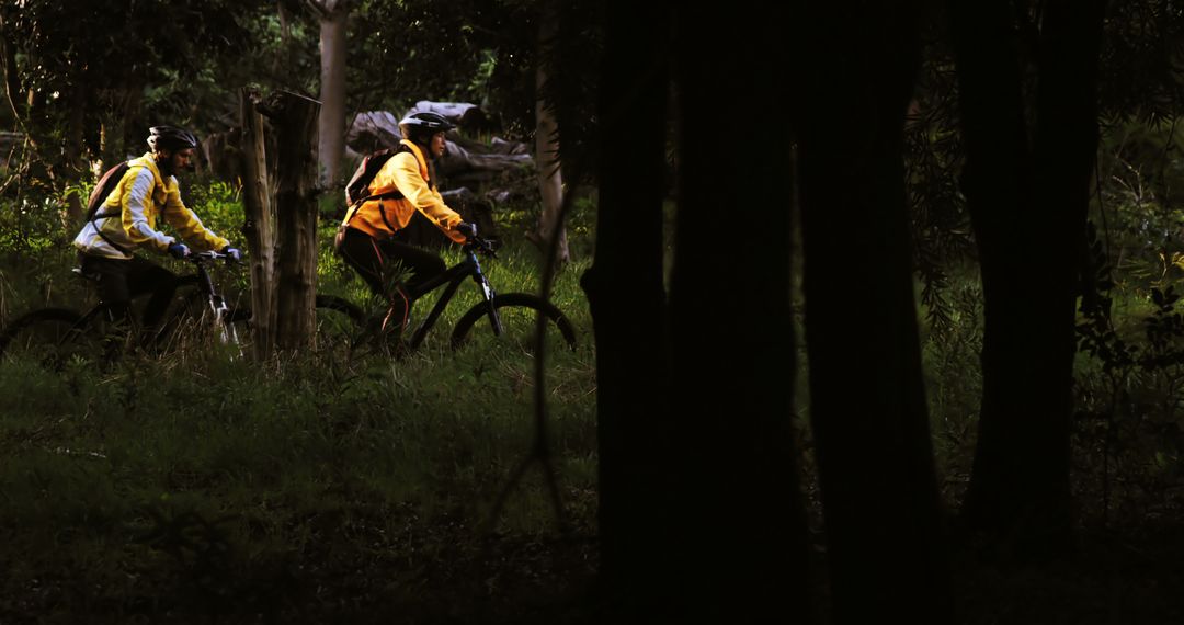 Two Middle-Aged Men Mountain Biking Through Dense Forest