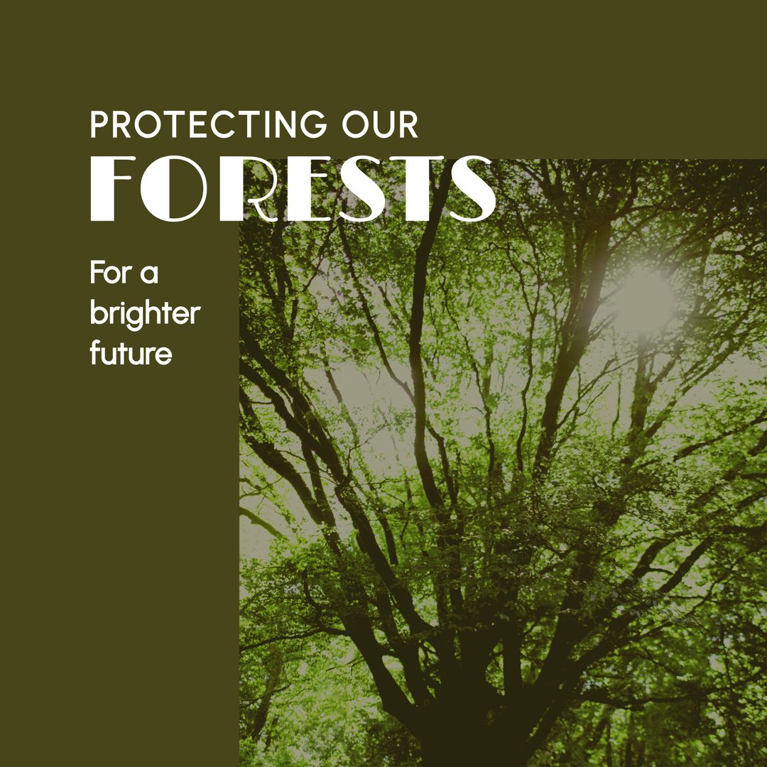 Protecting Our Forests for a Sustainable Future Banner