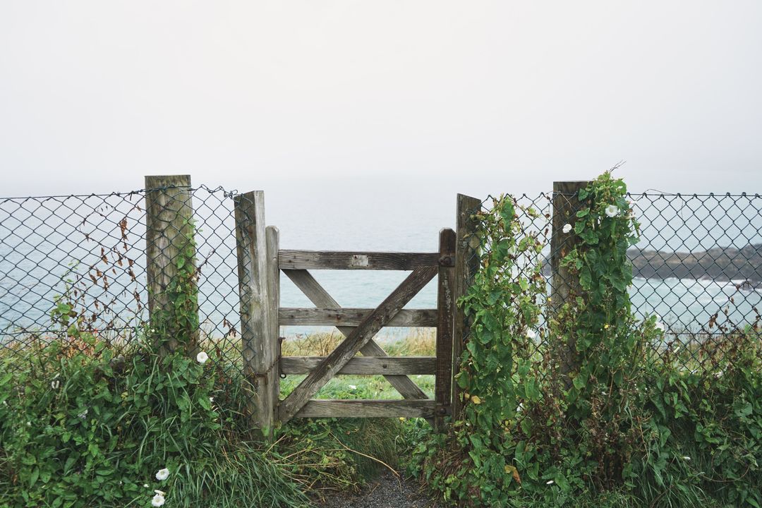 Rustic Wooden Gate Overlooking Misty Ocean on Foggy Day - Free Images, Stock Photos and Pictures on Pikwizard.com
