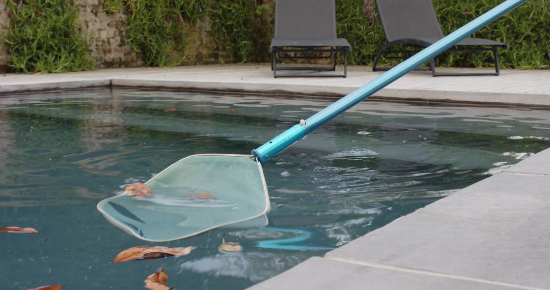 Using Pool Leaf Skimmer to Remove Leaves from Swimming Pool Water