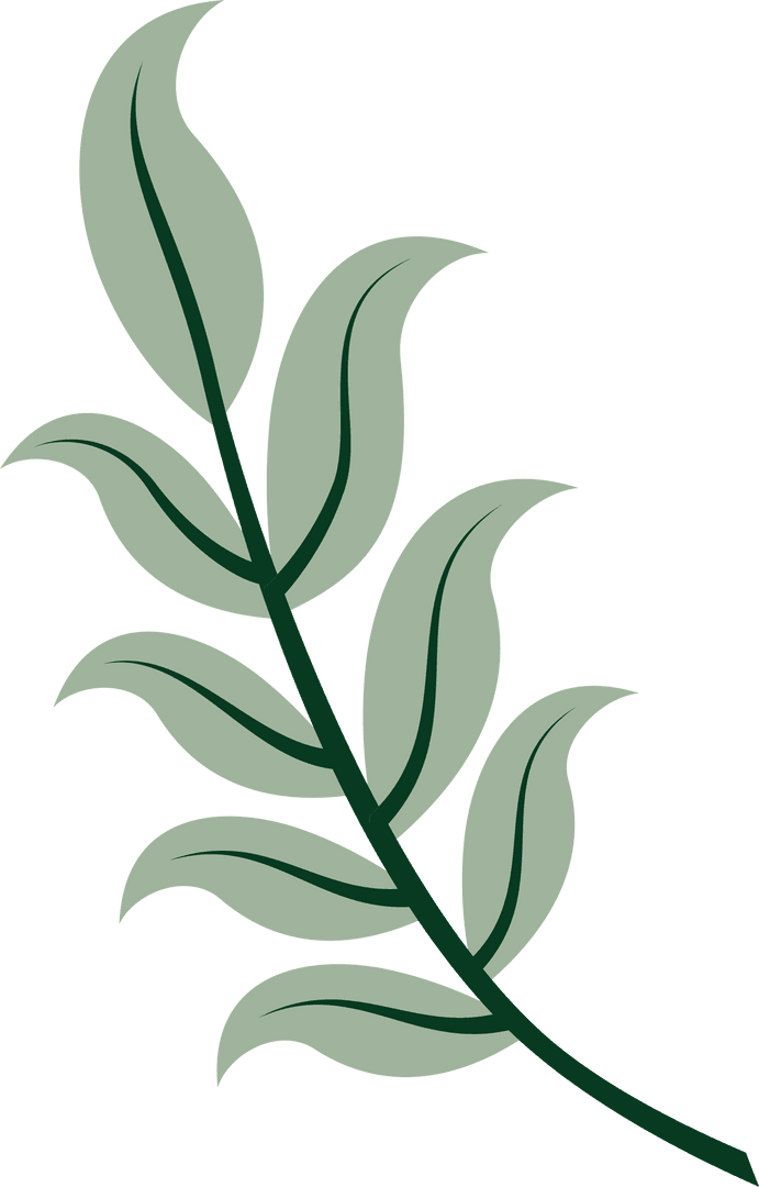 Minimalist Green Branch with Veined Leaves on Transparent Background