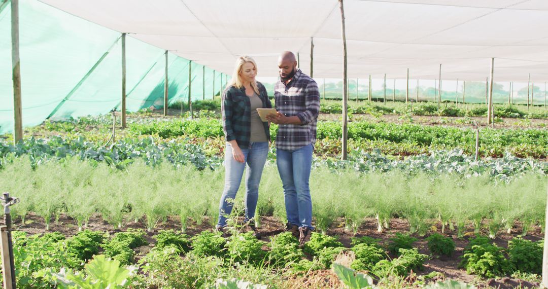 Diverse Farmers Using Digital Tablet in Modern Greenhouse