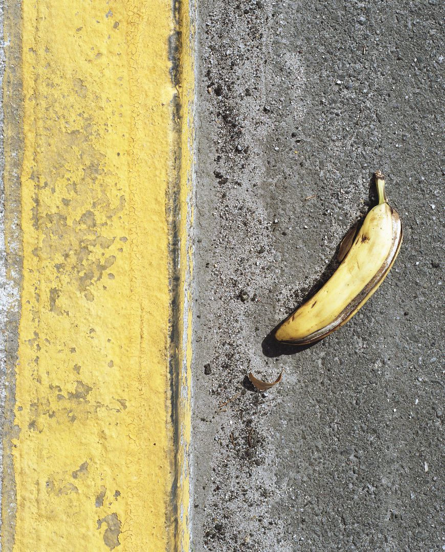 Slug Gastropod Banana - Free Images, Stock Photos and Pictures on Pikwizard.com
