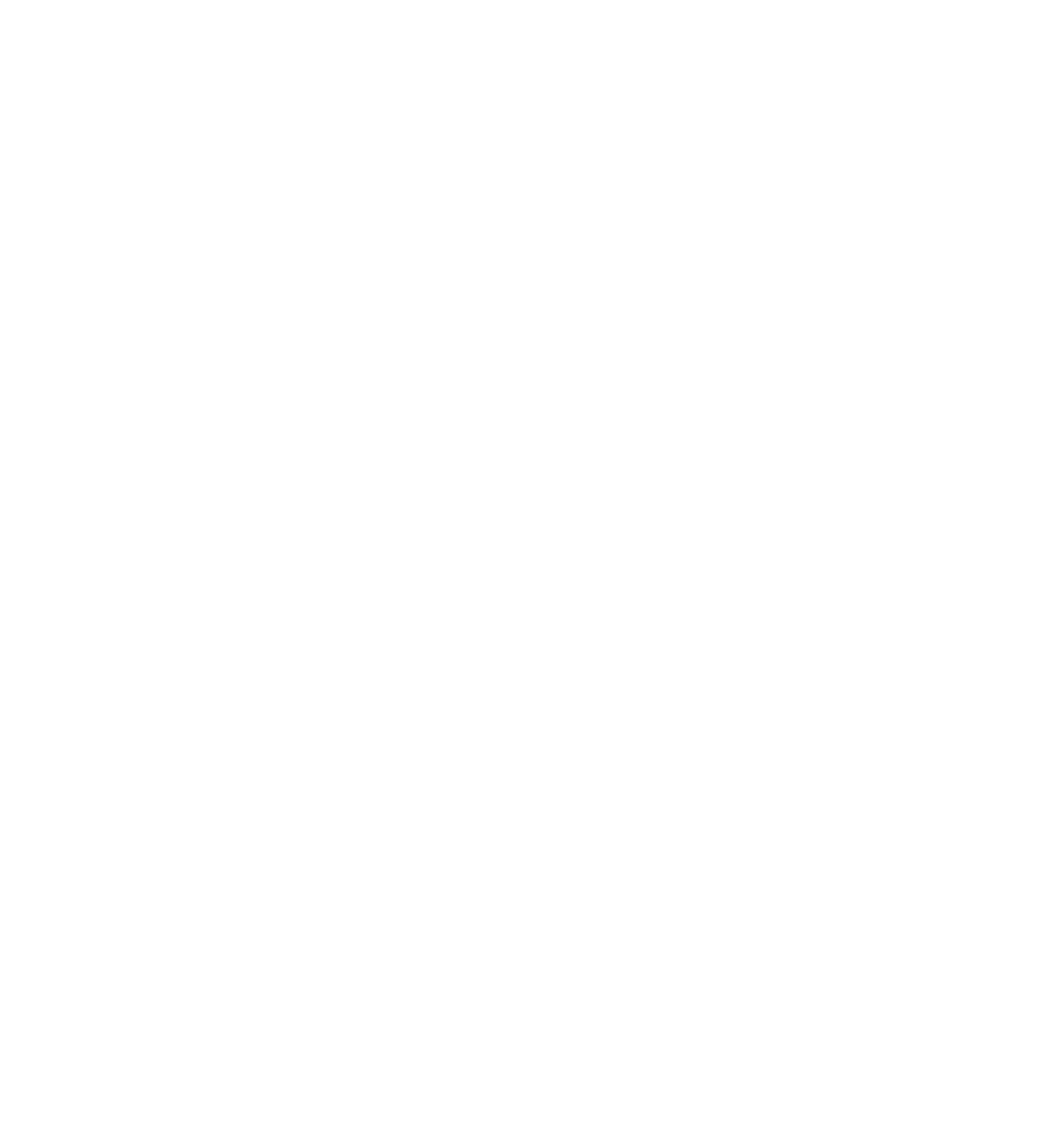 Children Celebrating with Flags Transparent Silhouette
