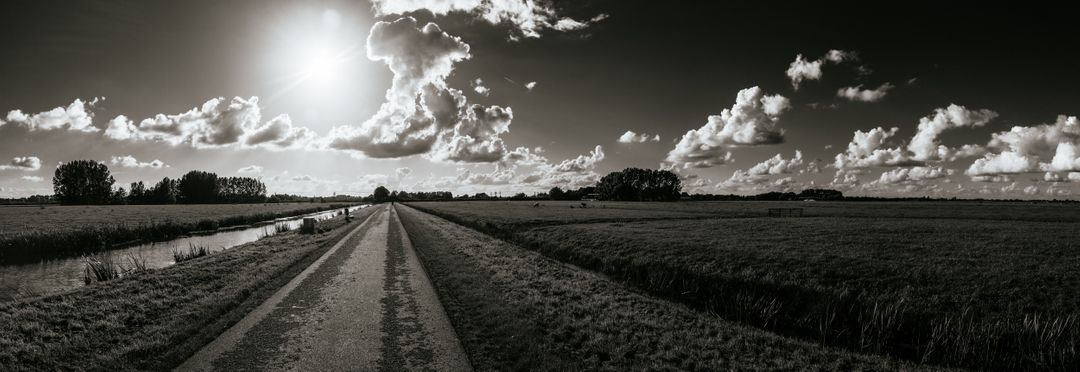 Monochrome Rural Road with Dramatic Sky and Sunlight - Free Images, Stock Photos and Pictures on Pikwizard.com
