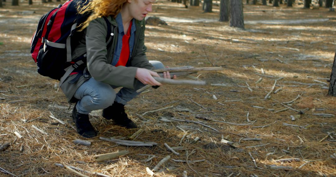 Woman Collecting Sticks in Forest for Campfire Preparation - Free Images, Stock Photos and Pictures on Pikwizard.com