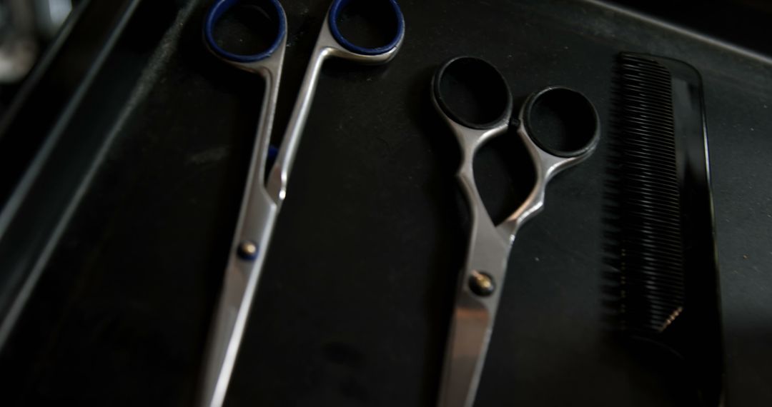 Professional Hair Cutting Scissors and Comb on Dark Surface - Free Images, Stock Photos and Pictures on Pikwizard.com