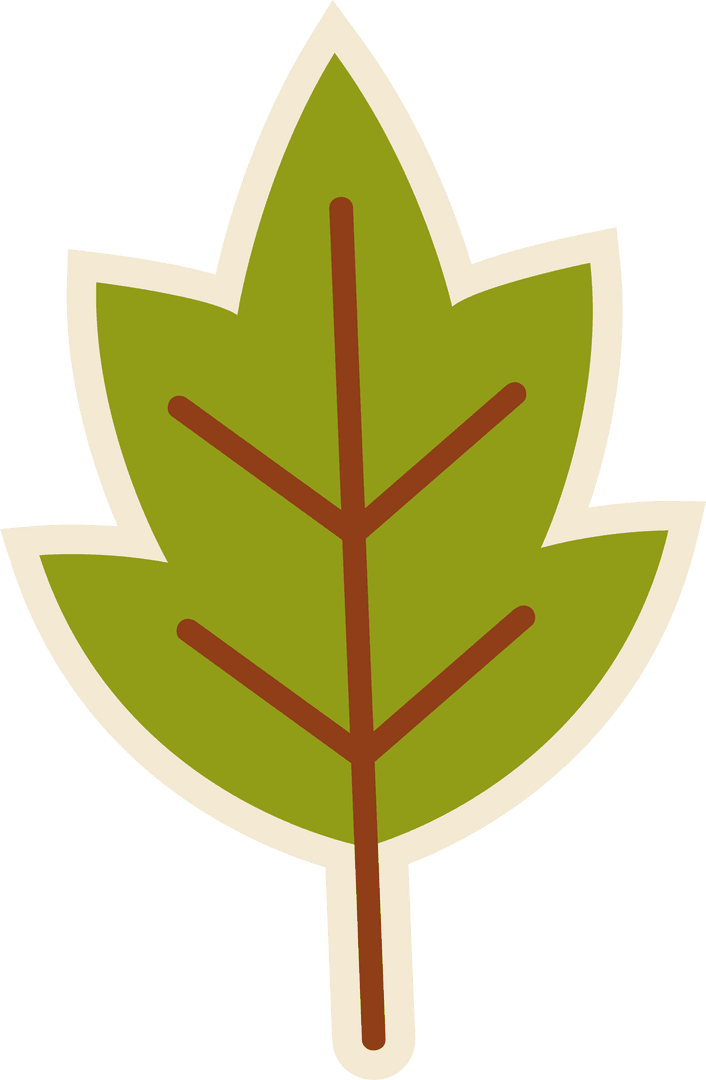 Stylized Green Leaf on Transparent Background with Cream Outline