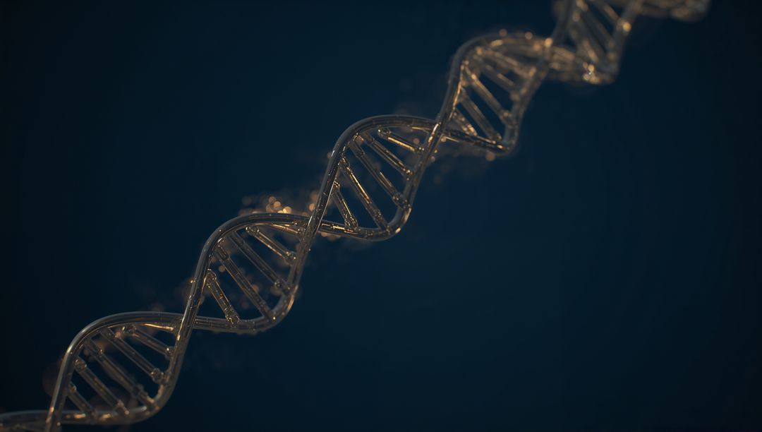 Golden glass DNA double helix spiraling with particles 3D scientific visualization