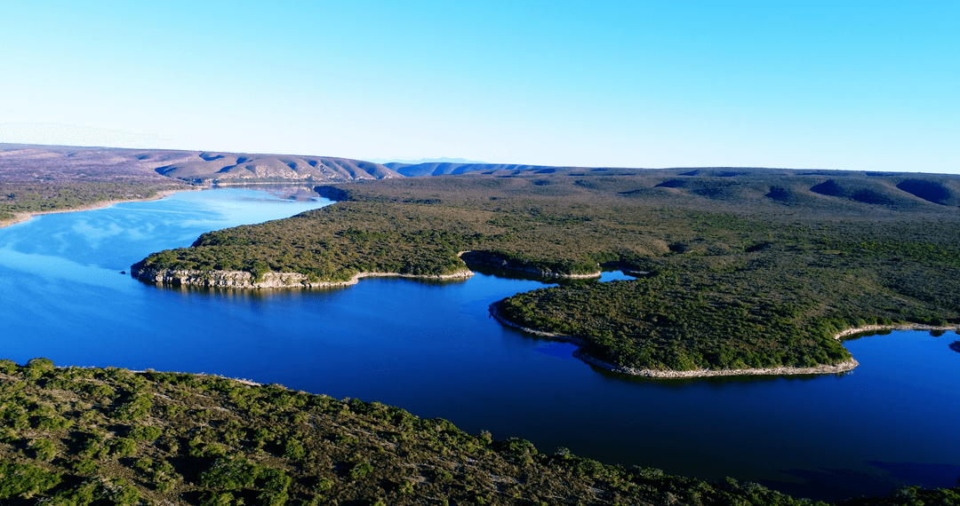 Serene River Winding Through Verdant Landscape Under Clear Sky
