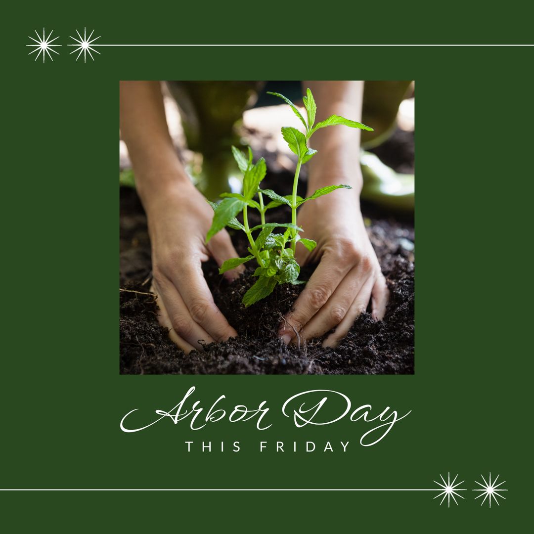 Arbor Day Celebration With Hands Planting Seedling - Download Free Stock Templates Pikwizard.com