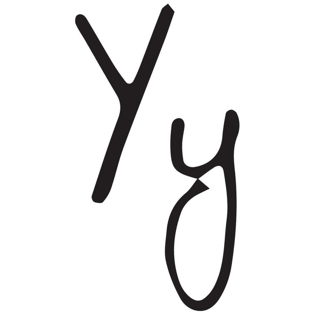 Stylized Y Letter in Multiple Styles on Transparent Background