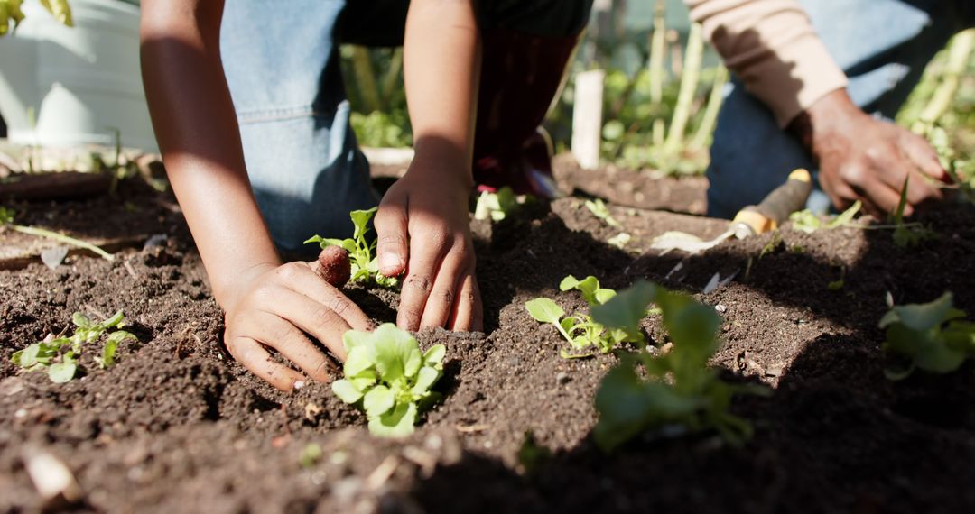 Child and Adult Planting Seedlings in Garden Together - Free Images, Stock Photos and Pictures on Pikwizard.com