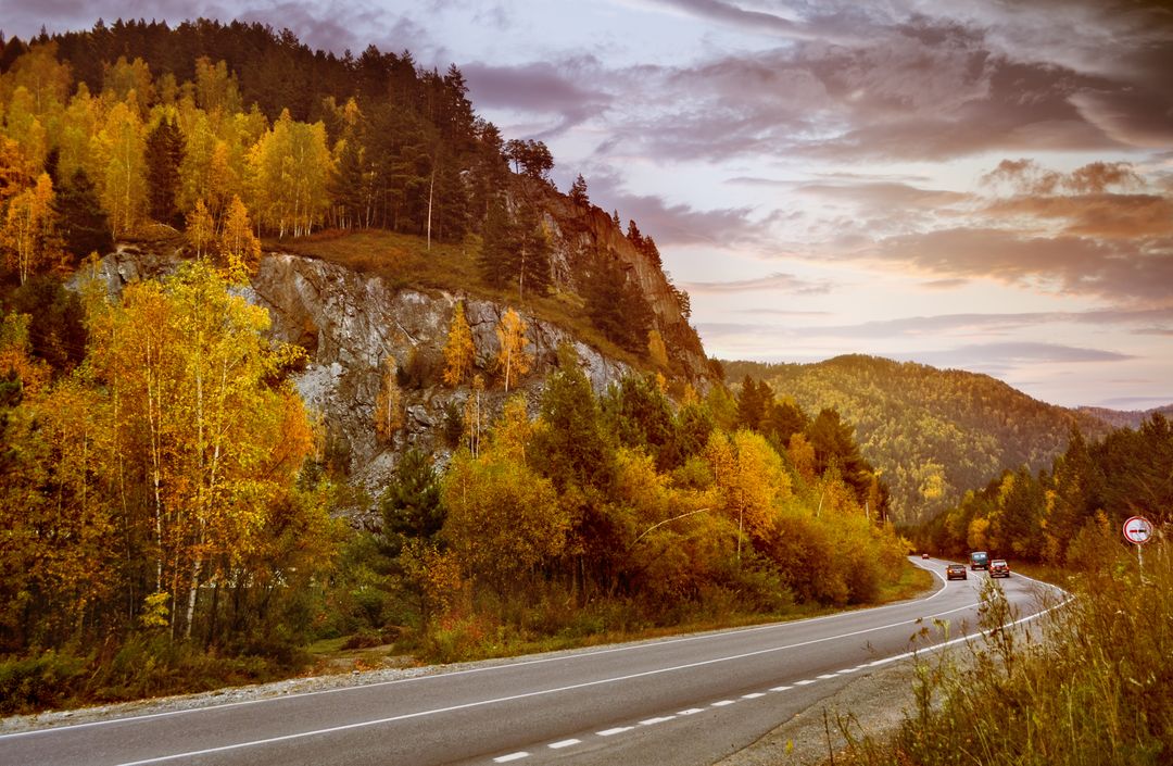 Scenic Autumn Highway with Colorful Foliage and Mountains - Free Images, Stock Photos and Pictures on Pikwizard.com