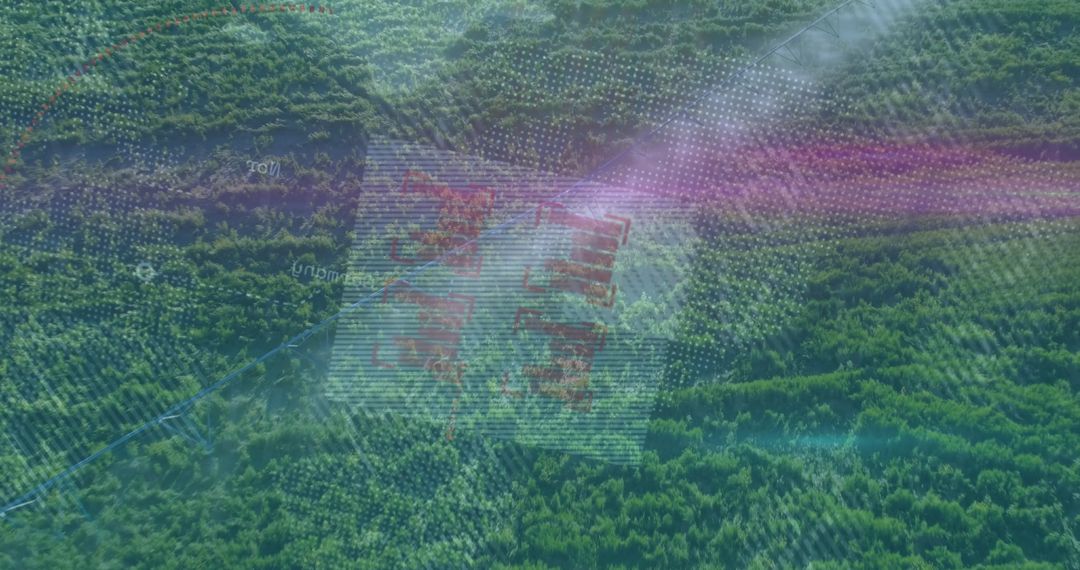 Aerial Visualization of Dense Forest with Technology Overlays