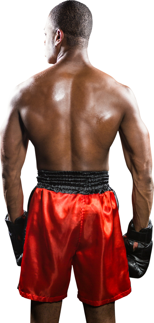 Rear View of Boxer Standing in Red Shorts, Transparent Background - Download Free Stock Images Pikwizard.com