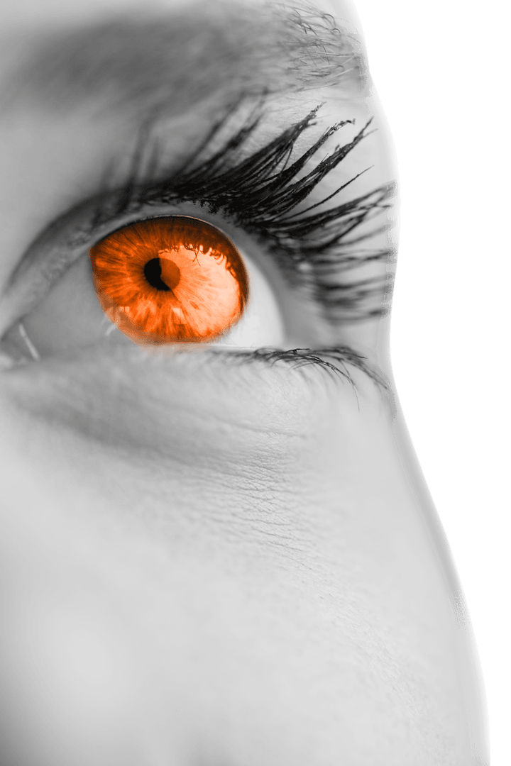 Vivid Orange Eye with Upward Gaze on Grey Tone Face